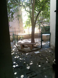 Foto da . (4)