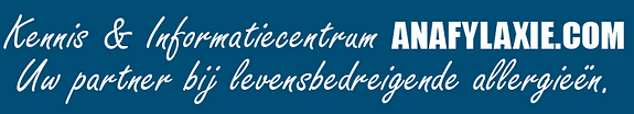 Schermafbeelding 2024-12-13 172847.png