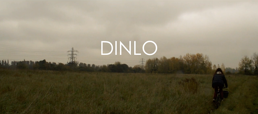 Dinlo Poster.png