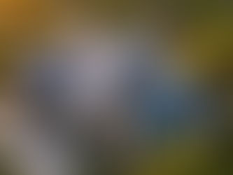 Essential Strategies for Superior Metal Roof Care and Longevity