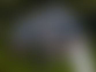 The Ultimate Guide to Remote Roofing Estimates