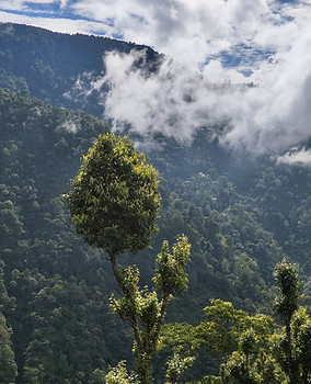 WhatsApp Image 2024-08-06 at 11.53.26 PM.jpeg