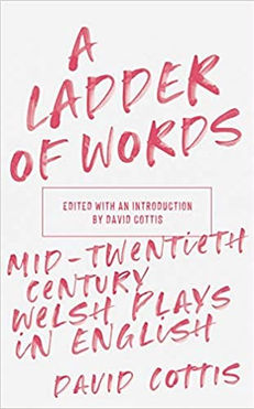 A Ladder of Words David Cottis.jpg
