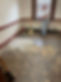 2021.07.19 Charlie at MTB after underlayment was removed.jpg