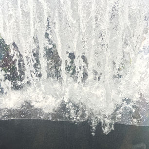 Monterey Aquarium Pictures