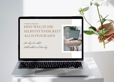 Infografik Launch digitales Produkt mit Mockup (10)_edited.jpg