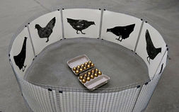 Muhu Print 2020 ARS Projektiruumis