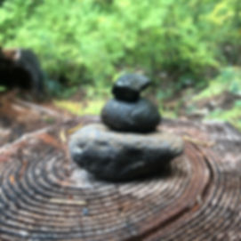 image1 (3).jpeg
