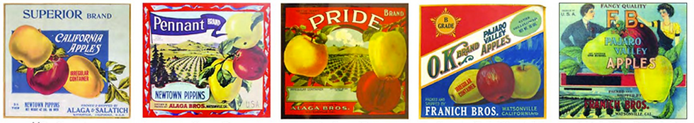 fruit labels