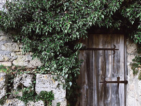 Das kalte Herz - Der Moment der größten Prüfung (5)