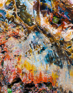 Burst of Colors