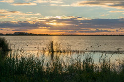 La Camargue