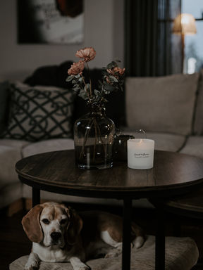 Företagsfoto Dalarna Företag Fotografering