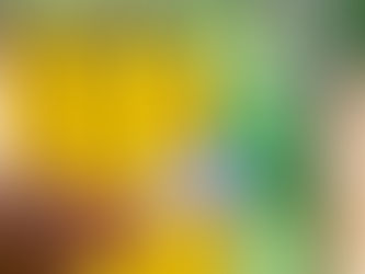 How does Fence Painting Enhance the Beauty of the Fence?