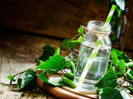 La sève de bouleau fraîche et le foie