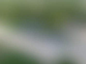 August Update from Kayla