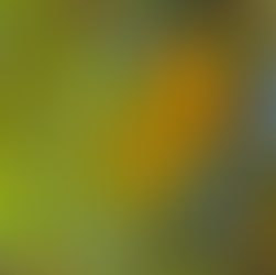 Breaking! Thomas Edison turns 175!