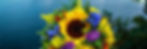 A big boquette in front of a bright blue waters. The center is a huge sunflower surrounded by brilliant purples, blues, and saturated red flowers.