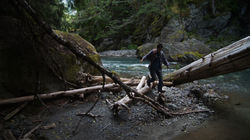 Bosque II