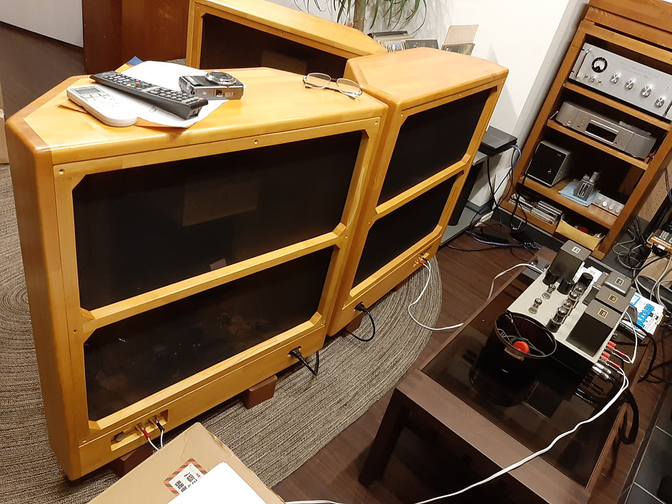 Miyajima Laboratory Prominent Field Coil 2-way Speaker Baksida