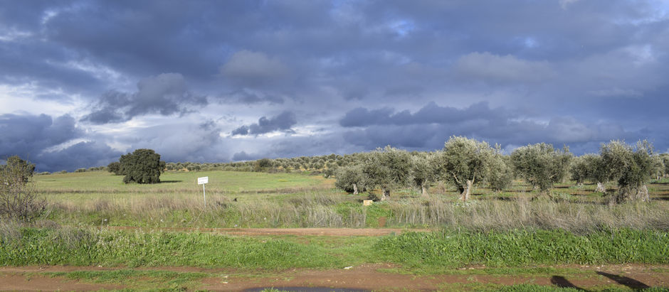 La Montaña contra Goliat