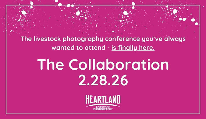 Copy of The Collaboration Event Thumbnail (950 x 552 px).jpg