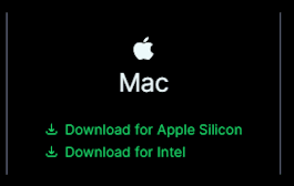 How to Install and Use Modrinth