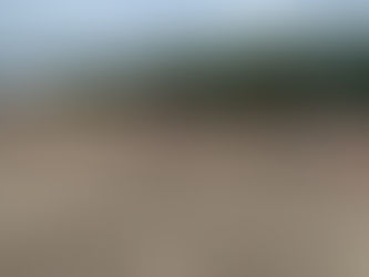 6月8日ミニサッカー交流会