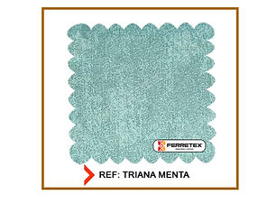 TRIANA MENTA _edited.jpg