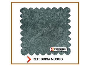 BRISA MUSGO _edited.jpg