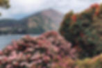 lake como.jpg