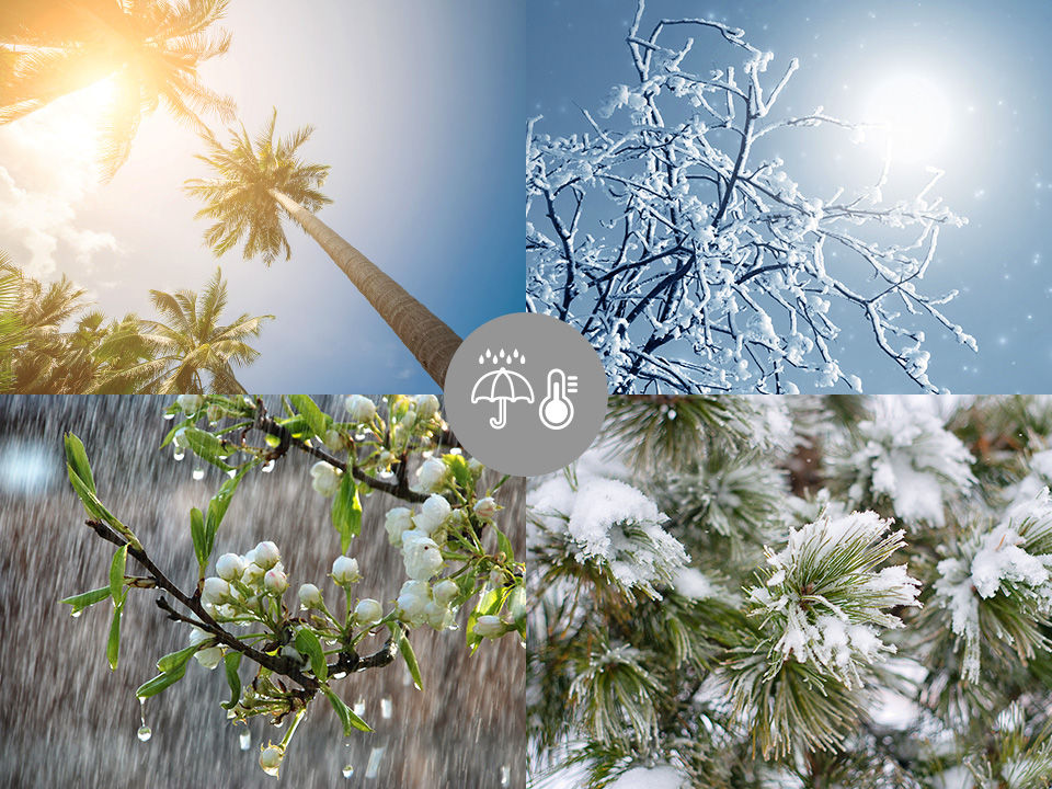 Miniature : SAMSUNG SECURITY WISENET Caméra Sécurité SDH-B73026BF FULL HD