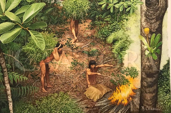 El sapecado de las hojas se realizaba en forma directa sobre las llamas del fuego.jpg