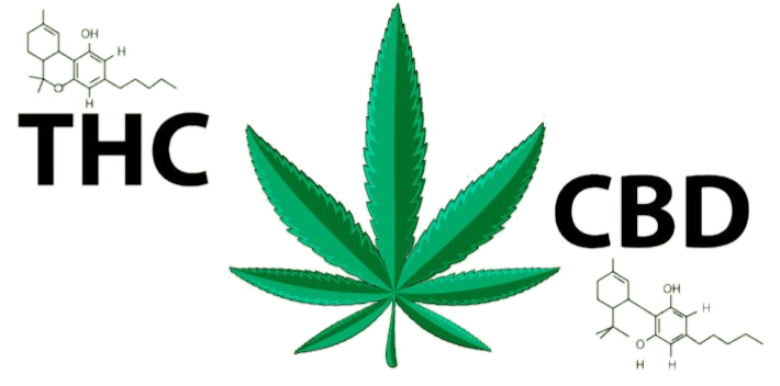 cbd thc_edited.png