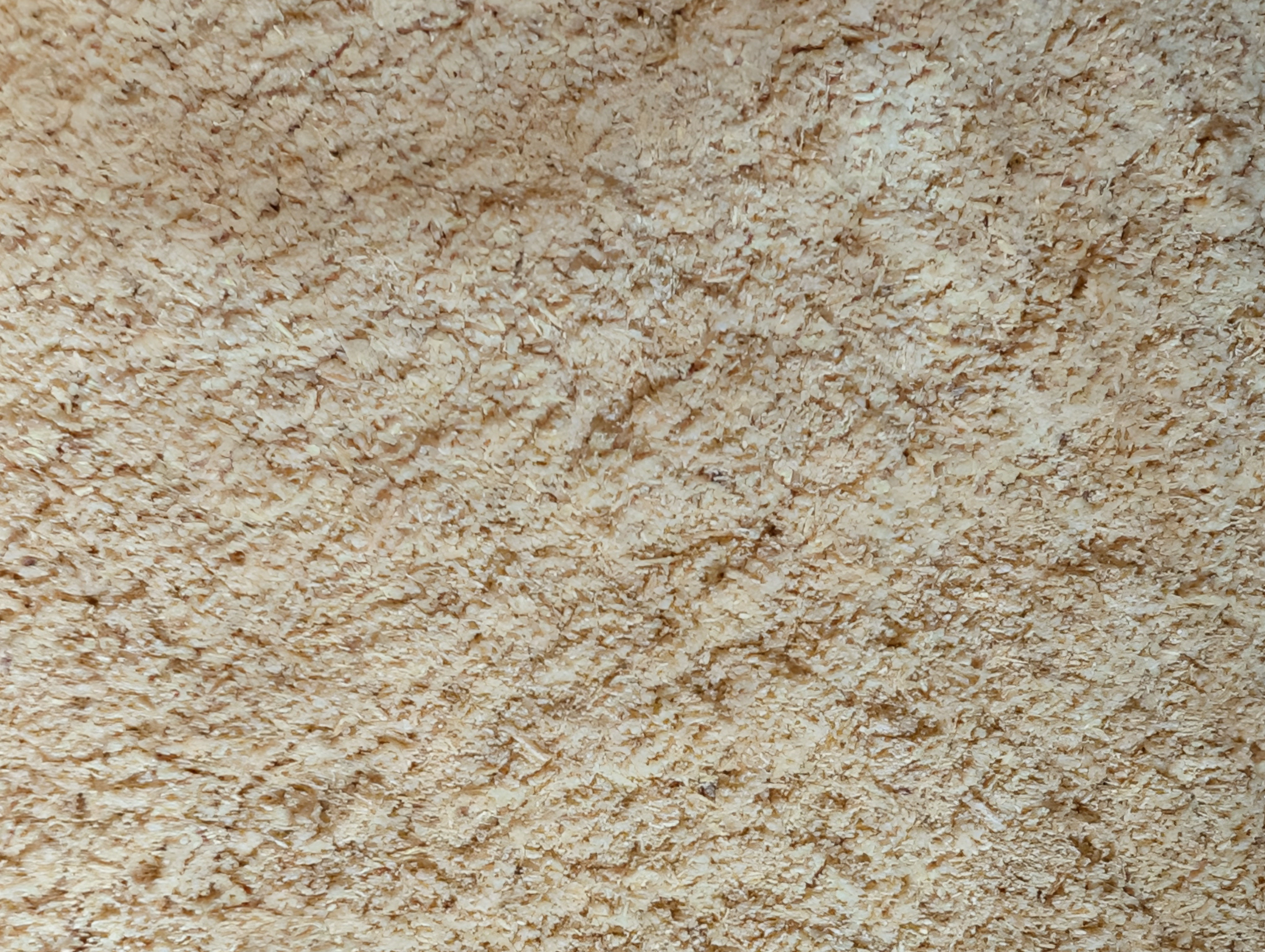 Quassia Bark