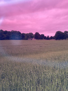 EC831F78-DA8B-4167-8FB6-D011140310B7.jpeg