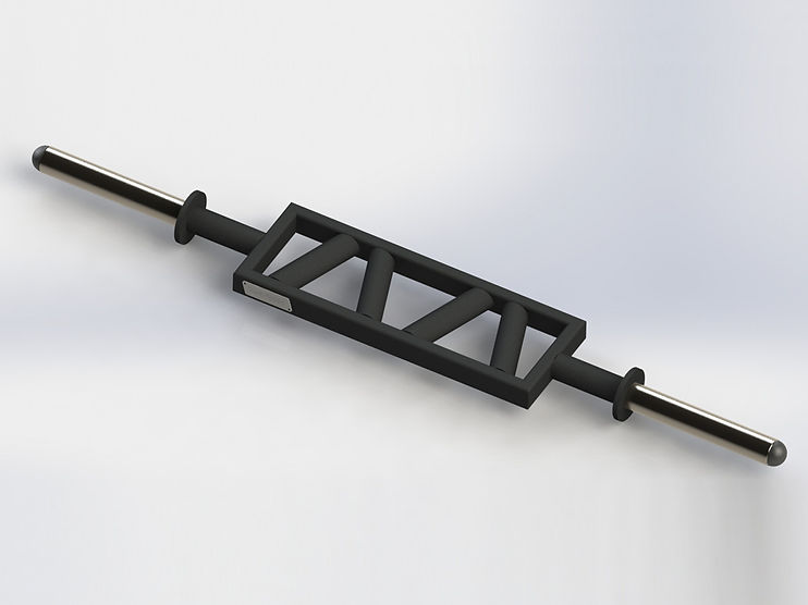 Poliquin Angled Dual Grip Bar