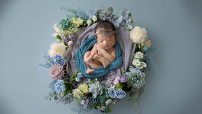 フラワーリースプランはじめるよ。