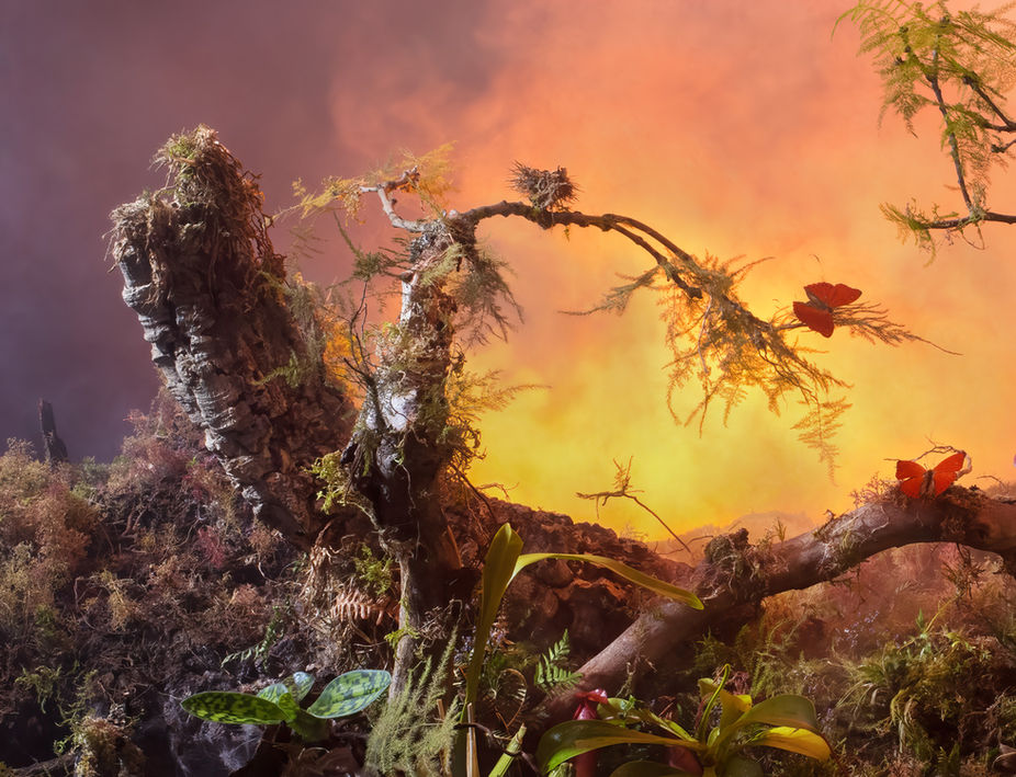 Another World 05 100x77cm.jpg