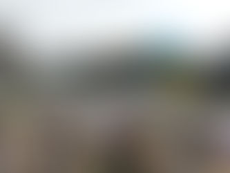 春の風を感じました~🌸 🌸