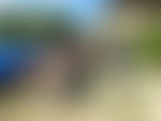 優勝は誰の手に・・・(^^♪ 🎖