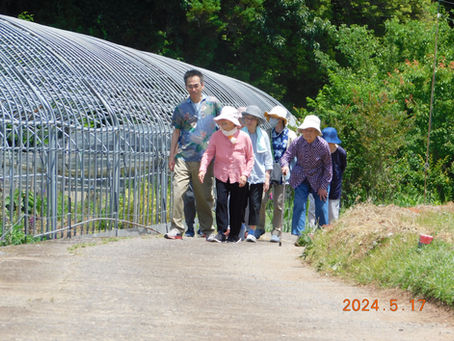 グミの実・・収穫に行ってまいりました👟 👡