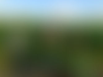 11月最後のお出かけを楽しんできました🌻