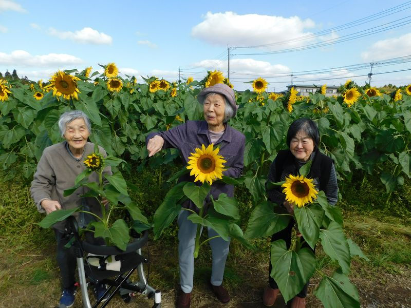 11月最後のお出かけを楽しんできました🌻