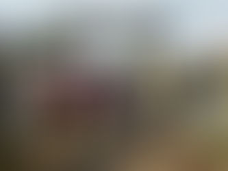 諏訪神社へ初詣参拝に出かけてきました👟 👡