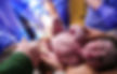P1050888 5_edited.jpg