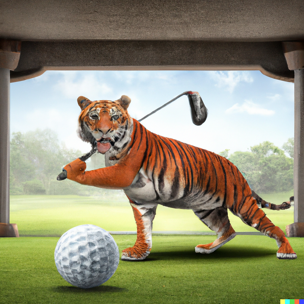 ContentBOT? Will ChatGPT Change Content Creation?