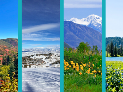From Fall to Summer - A Seasonal Guide to Aligning with Nature's Rhythm