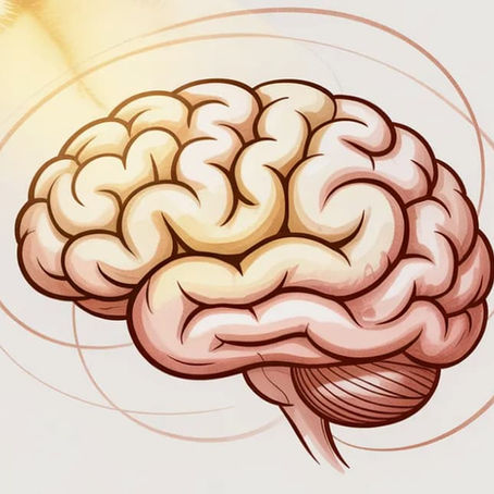 Illustration d'un cerveau humain entouré de cercles concentriques symbolisant les automatismes et comportements répétitifs