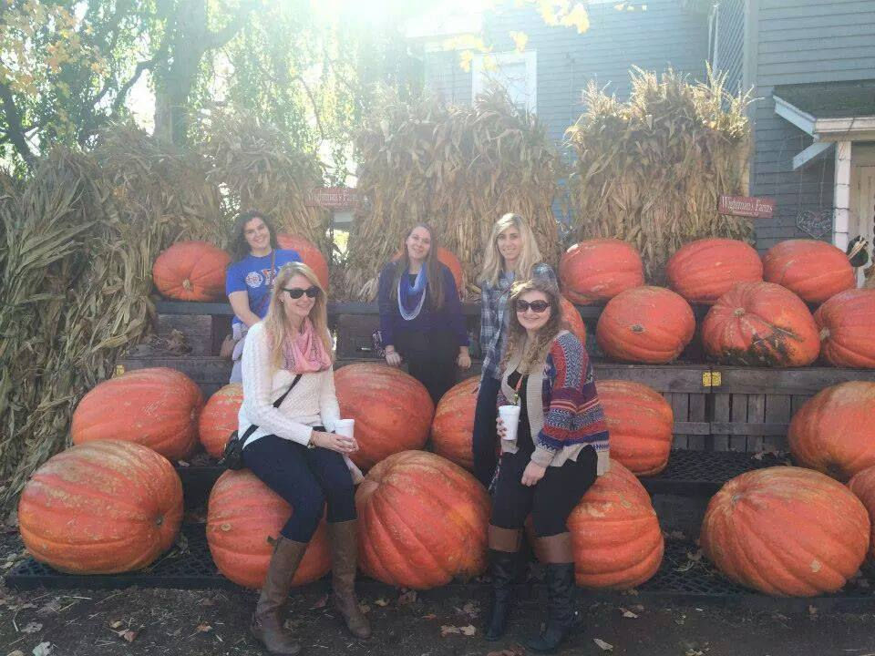 Pumpkin Picking 2014